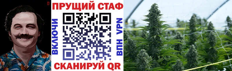 Купить наркоту Лодейное Поле A PVP Мефедрон ГАШ МЕТАМФЕТАМИН АМФЕТАМИН COCAIN Канабис