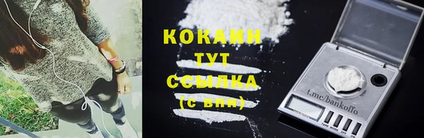 кокс Аркадак