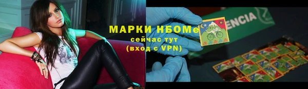 прущие грибы Переславль-Залесский