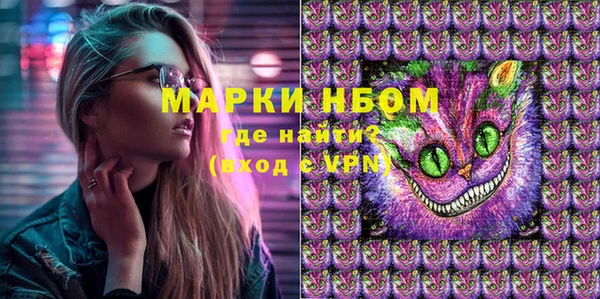 шишки Алзамай