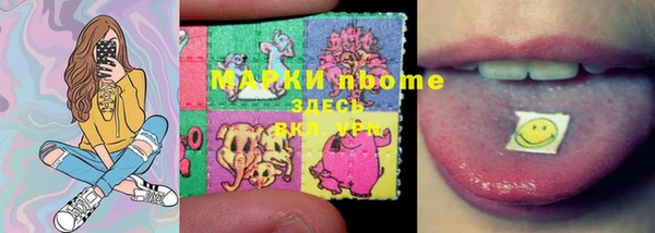 шишки Алзамай