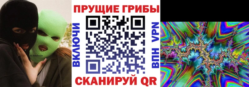 Галлюциногенные грибы Magic Shrooms  мега как войти  Лодейное Поле  что такое  